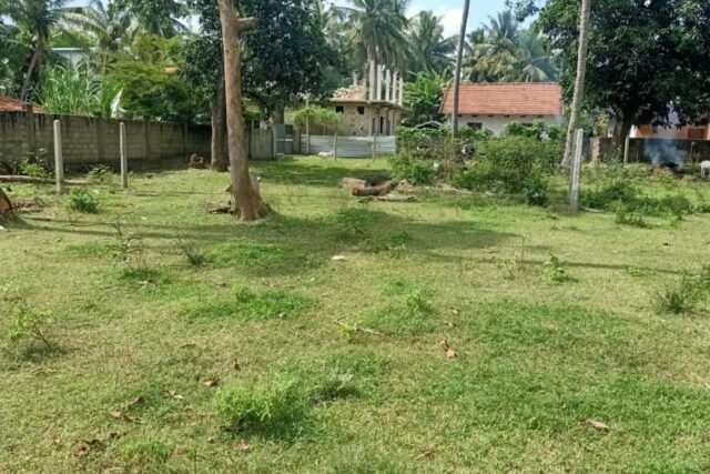 Land for sale at Goodshed Road in Kondavil.