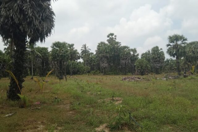 Land for sale in Kodikamam