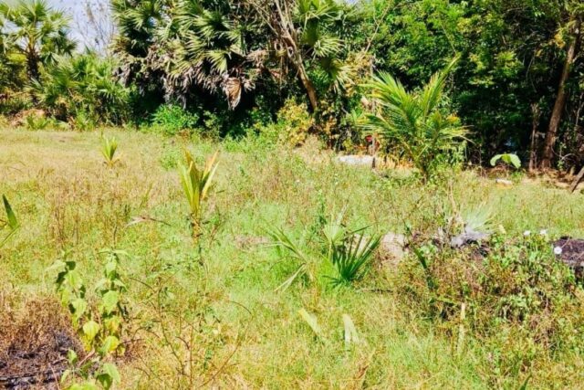 Land for sale in Barathi puram , Thampalakamam, Trincomalee.