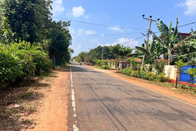 Land for sale in siruppiddy.