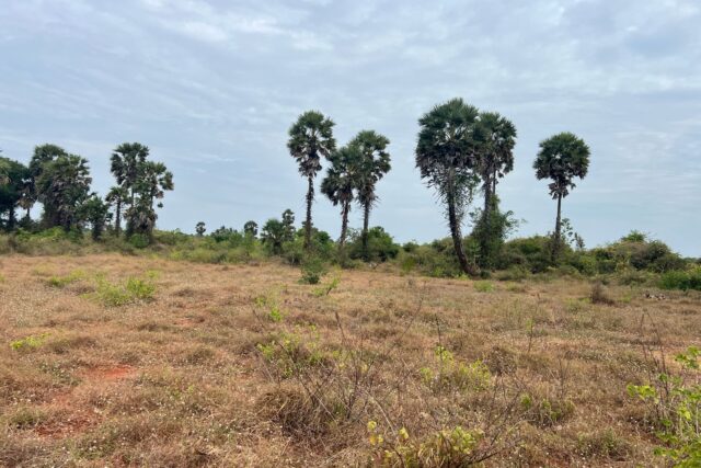 Land for sale in Kuttiyappulam Vasaavilan